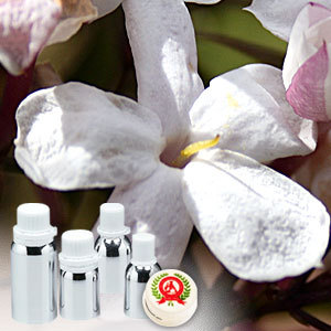 Jasmine Grandiflorum Absolute Oil