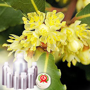 Laurel Leaf Oil