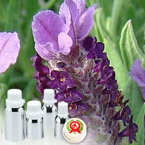 Lavender Green Absolute Oil