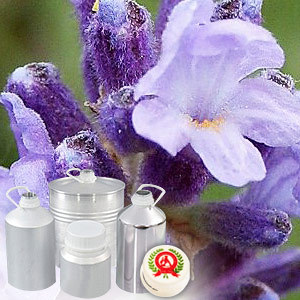 Lavender Hydrosol Floral Water