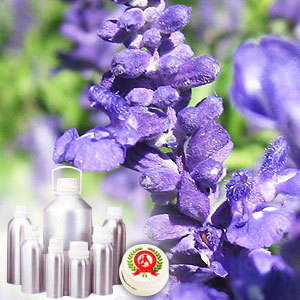 Lavender Oil