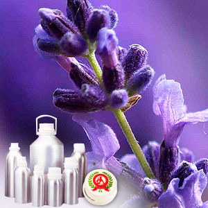 Lavender (true) French oil - Certified Organic