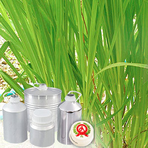 Lemongrass Floral Water