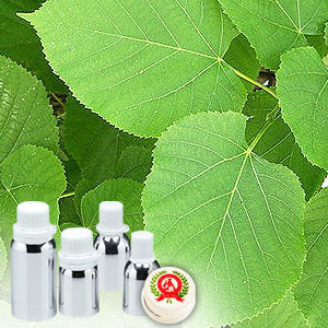 Linden Blossom Absolute Oil