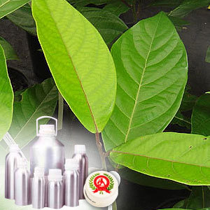 Litsea Cubeba Oil