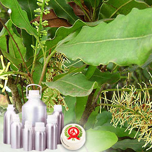 Macadamia Carrier Oil