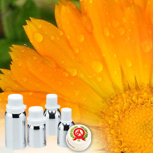 Marigold Absolute Oil