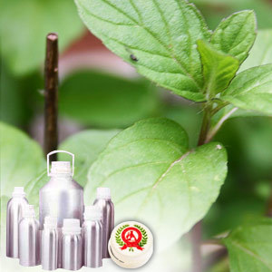 Mentha Spearmint Oil