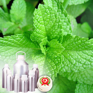 Menthol Oil