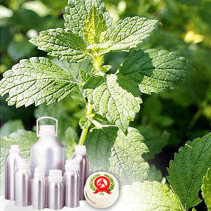 Mint Terpenes Crude