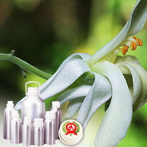 Moringa Oil
