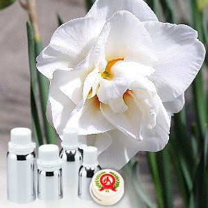 Narcissus Absolute Oil