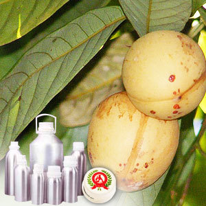 Nutmeg Oleoresin 30% VOC