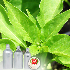 Oleoresin Paprika 30000 CU