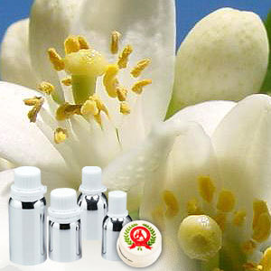 Orange Blossom Absolute Oil