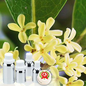 Osmanthus Absolute Oil