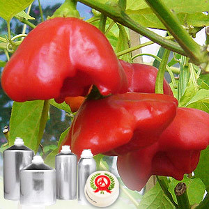 Paprika Oleoresin 100000 cu