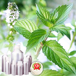 Peppermint Oil