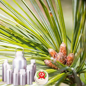 Pine Essential Oil