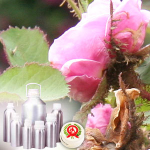 Rose De MaI Oil