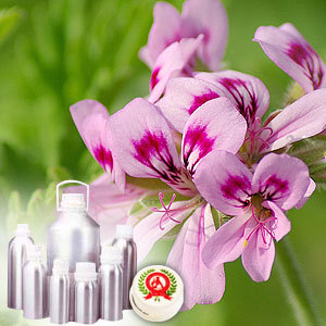 Rose Geranium Oil