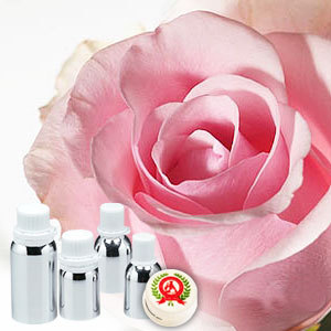 Rose Oil (Hydro Distilled) Absolute Oil