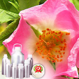 Rosehip Carrier Oil