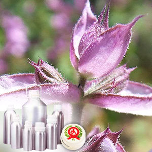 Sage Essential Oil