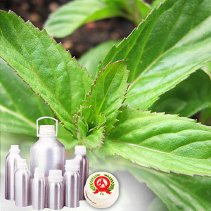 Spearmint Oil 60%