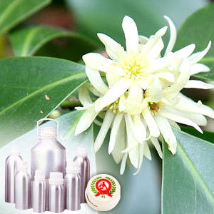 Star Anise Oil