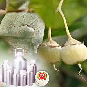 Styrax Tonkinesis Oil (Loban)