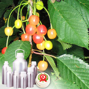 Sweet Cherry Kernel Carrier Oil
