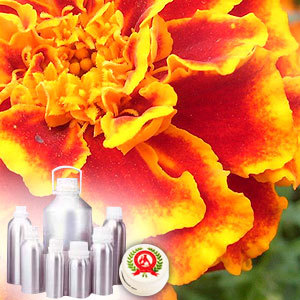 Tagetes Oil