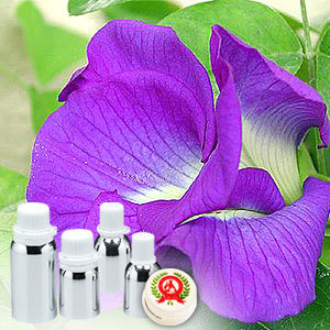 Violet Leaf Absolute Oil