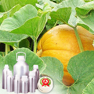 Water Melon Oil