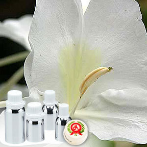 White Ginger Lilly Absolute Oil