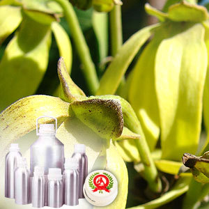 Ylang Ylang Essential Oil