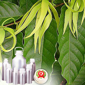 Ylang Ylang oil - 1st Grade - Certified Organic