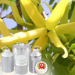 Ylang Ylang